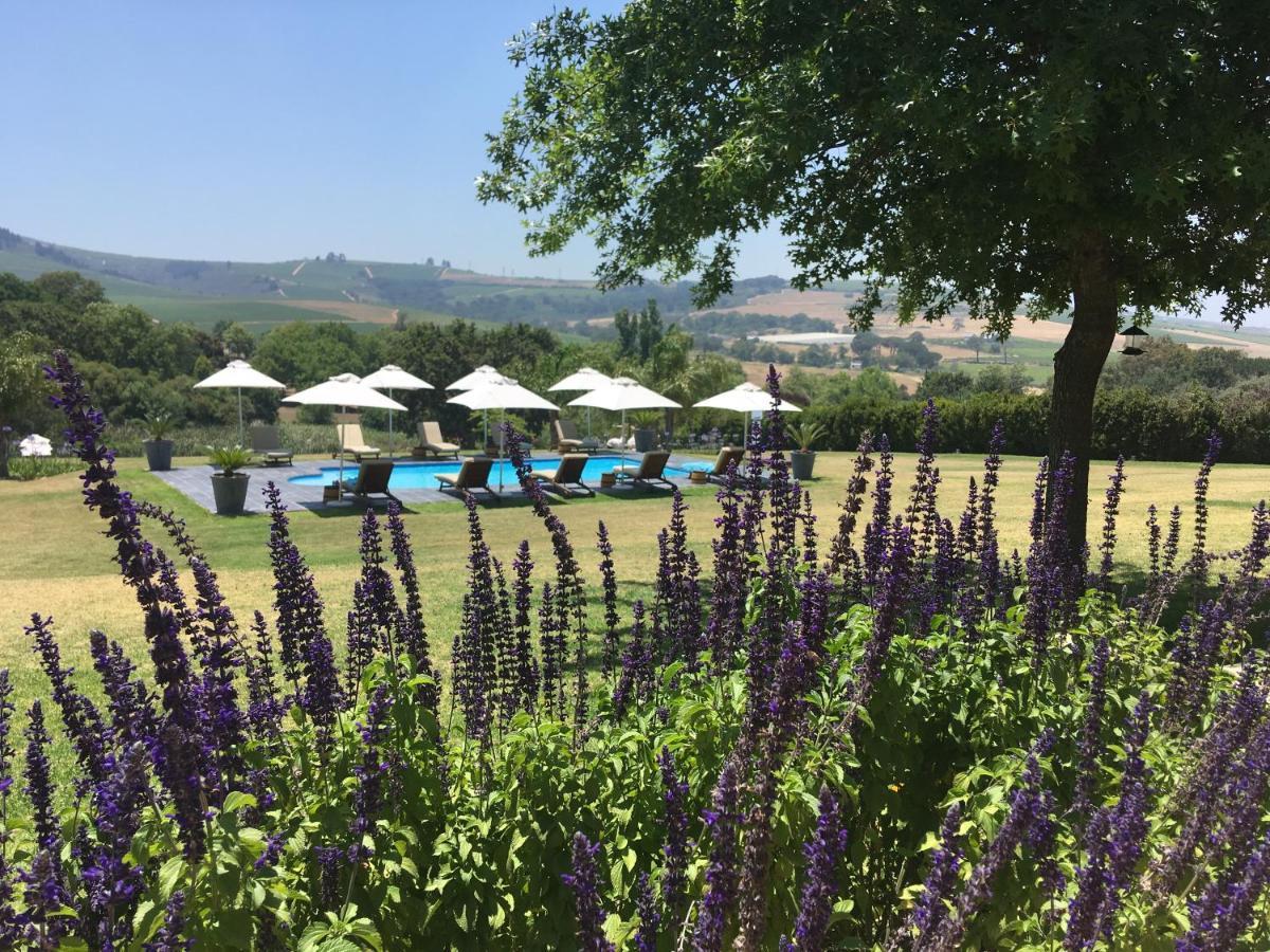 Cultivar Boutique Hotel Stellenbosch Eksteriør billede